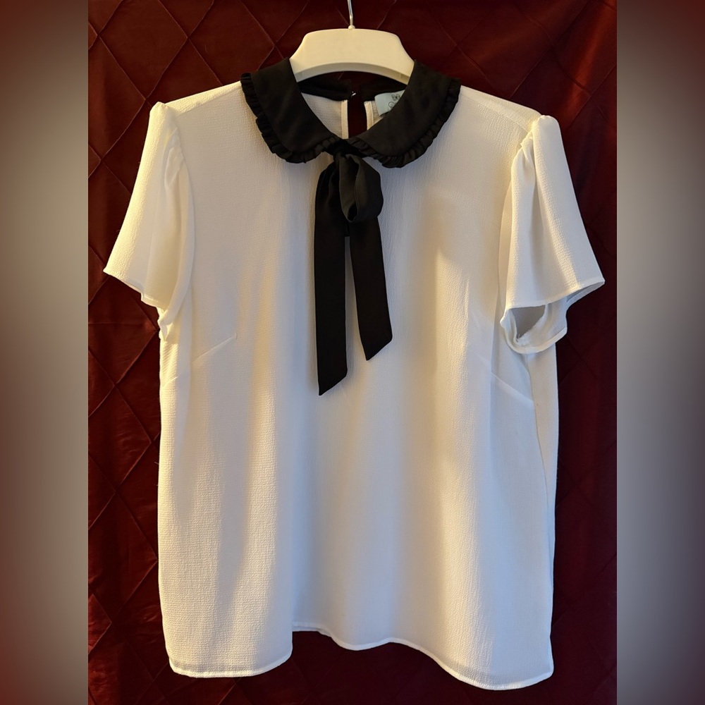 NWOT CeCe Women's Short Sleeve Tie-Neck Peter Pan-Collar Top - Size M